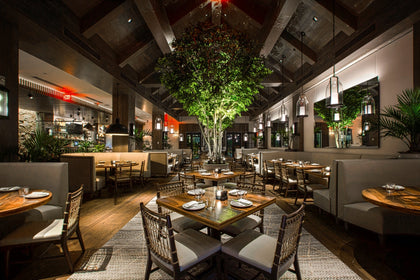 River Bed in Del Mar